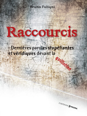 cover image of Raccourcis